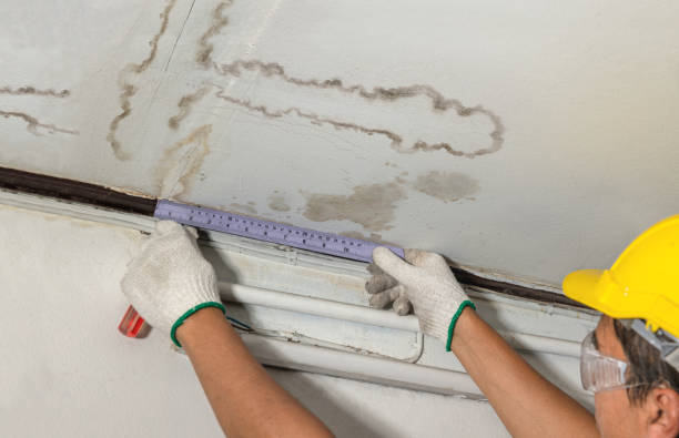 Reliable Water Damage contractor in Secaucus, NJ by Water Damage Irwin